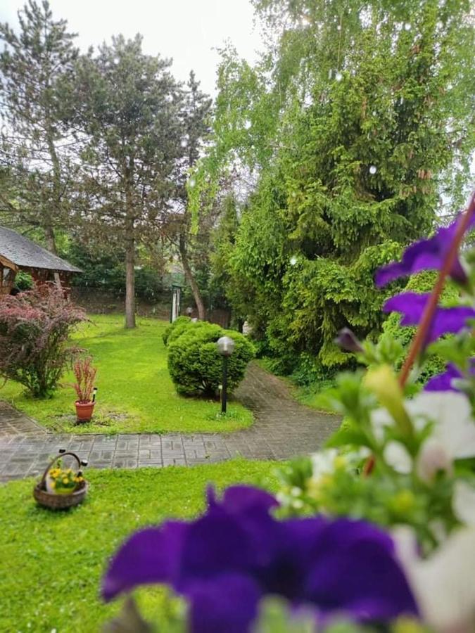 Penzion Roal Pieniny Hotel Spisska Stara Ves Exterior foto
