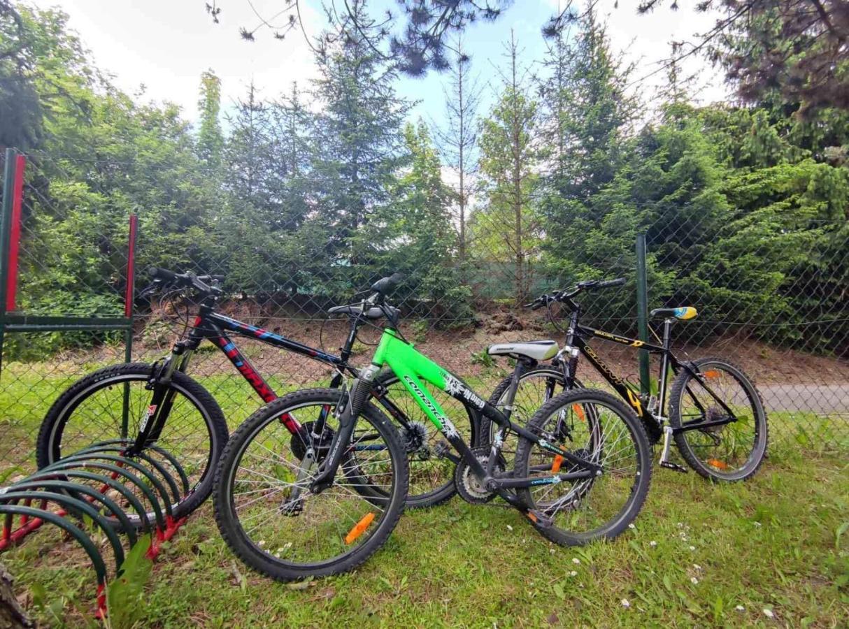 Penzion Roal Pieniny Hotel Spisska Stara Ves Exterior foto