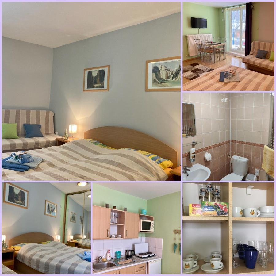 Penzion Roal Pieniny Hotel Spisska Stara Ves Cameră foto