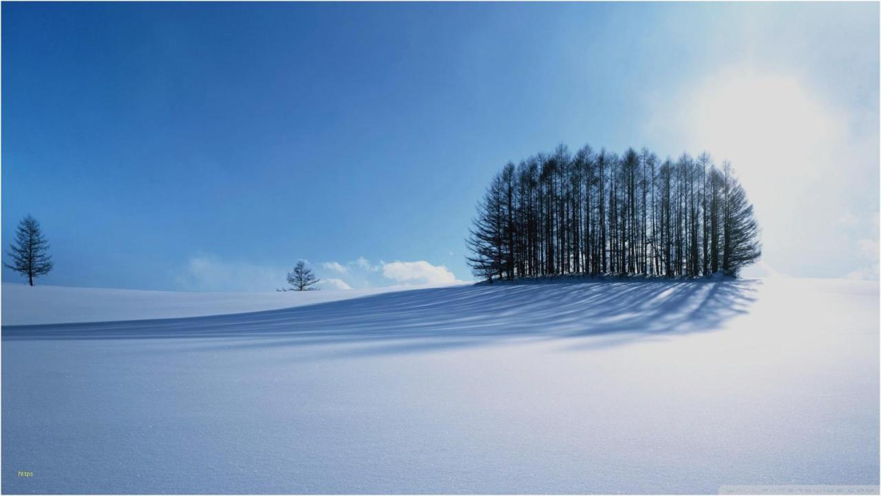 Penzion Roal Pieniny Hotel Spisska Stara Ves Exterior foto