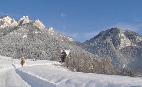 Penzion Roal Pieniny Hotel Spisska Stara Ves Exterior foto