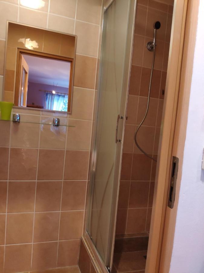 Penzion Roal Pieniny Hotel Spisska Stara Ves Exterior foto